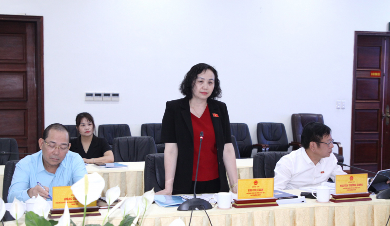 Phó Chủ tịch Hội đồng Dân tộc Cao Thị Xuân phát biểu